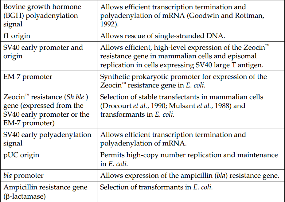 PcDNA4/TO/Myc-His B载体图谱质粒图谱、序列、价格、抗性、测序引物、大小等基本信息_生物风载体